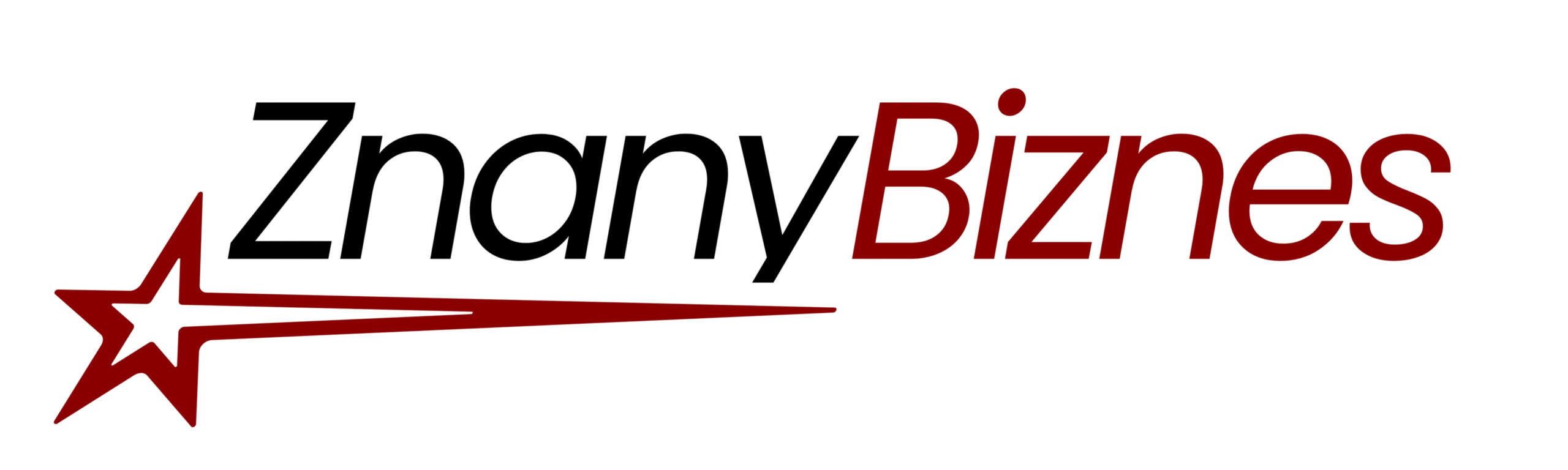znanybiznes logo 5000 x 1500 k b